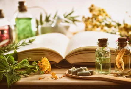 Traditionelle Medizin mit Pflanzen und Buch auf dem Tisch